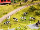 Vaches aux pâturages avec Module sonore  NOCH 12851 - HO 1/87