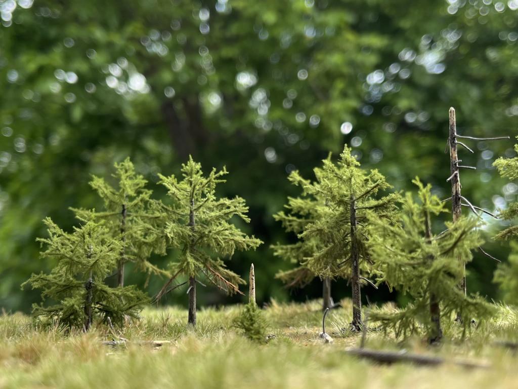 [GA-Set-005] Petit coffret « Forêt d'épicéas » – 15 pièces – Z / N / TT Gabi Artwork GA-Set-005