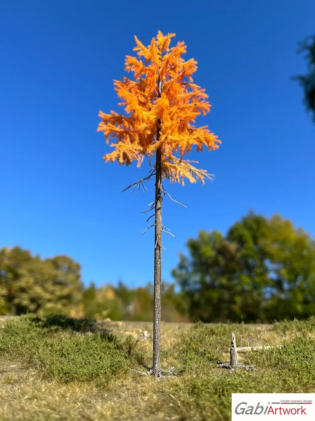 [GA-0065] Mélèze européen, fin d'automne, 1/3, 19-21 cm   Gabi Artwork GA-0065