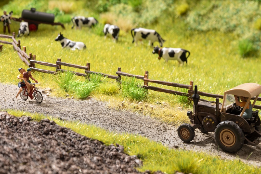 Noch 60773    Vegetations-Startset "Am Wegesrand"