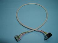 LDT  Câble s88 0,5m / Câble L@N 0,5m Câble de connexion longueur 0,5m, avec deux connecteurs s88 Littfinski Daten technik 