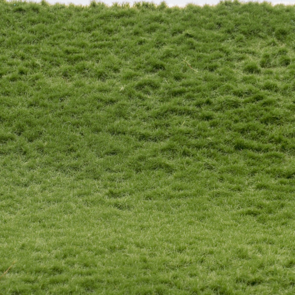 [RTS 92611-4  ] RTS 92611-4 Tapis d'herbe début d'été court A4 