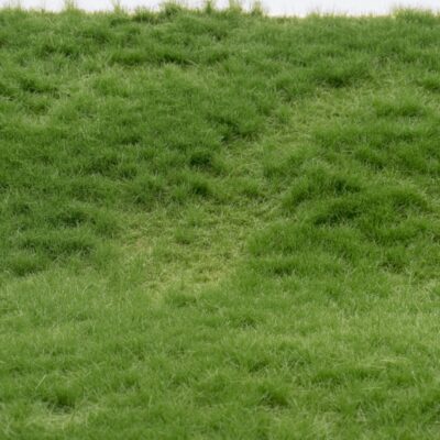 RTS 92622-4 Tapis d'herbe été long A4 
