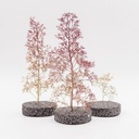 RTS 10013 Zeechium Mousse de mer Teloxis Aristata 