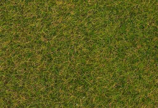 [Faller 170256  ] Faller 170256   H0, TT, N  Fibres de flocage herbes sauvages, Prairie au début de l'été, 4 mm, 1 kg 