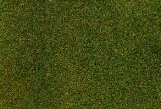 [Faller 170771  ] Faller 170771   H0, TT, N  Fibres de flocage PREMIUM, Prairie de printemps, 6 mm, 30 g 
