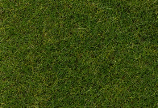 [Faller 170774  ] Faller 170774   H0  Fibres de flocage PREMIUM, Prairie d'été, longue, 12 mm, 30 g 