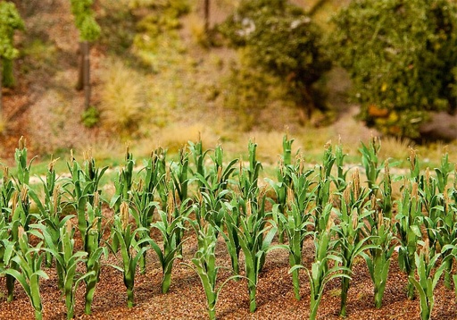 [Faller 181250  ] Faller 181250   H0, TT, N  36 Plantes de maîs 