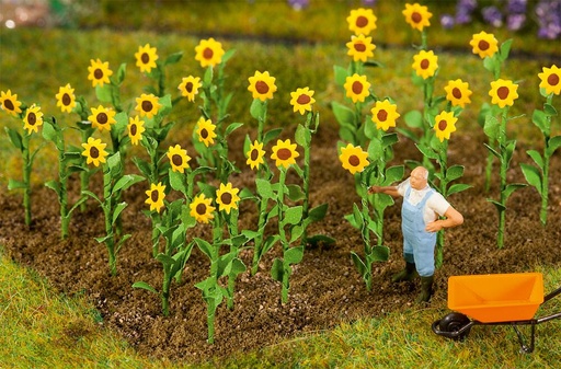 [Faller 181256  ] Faller 181256   H0  16 Tournesols 