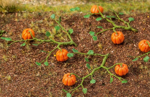 [Faller 181258  ] Faller 181258   H0  6 Plants de citrouille 