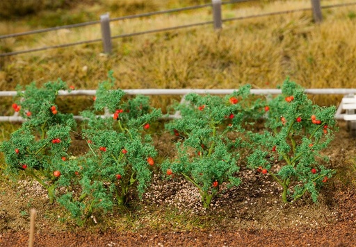 [Faller 181259  ] Faller 181259   H0  18 Plants de tomate 