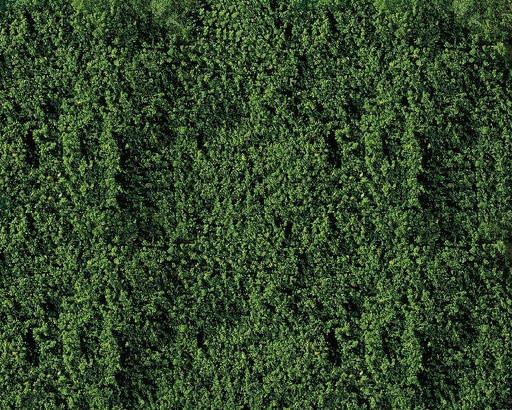 [Faller 181391  ] Faller 181391   H0, TT, N  Matériel de flocage, vert foncé 250 x 120 mm