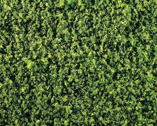 [Faller 181392  ] Faller 181392   H0, TT, N  Nappe fibres de feuillaison, vert moyen 250 x 120 mm