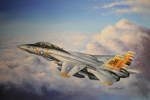 [HOBBY BOSS 80366  ] HOBBY BOSS 80366  1/48 F14A Tomcat 