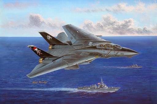 [HOBBY BOSS 80367  ] HOBBY BOSS 80367  1/48 F14B Tomcat 