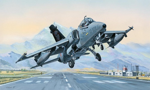 [HOBBY BOSS 81741  ] HOBBY BOSS 81741  1/48 Avions AMX Ground Attack 