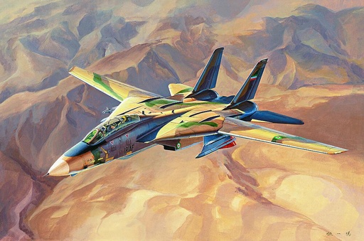 [HOBBY BOSS 81771  ] HOBBY BOSS 81771  1/48 F-14A Tomcat, chat persan 
