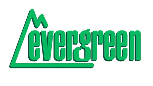 [ EVERGREEN 14080  ]  EVERGREEN 14080  Coffrage bois en polystyrène blanc, trame 2,00 mm 300 x 600 x 1,00 mm