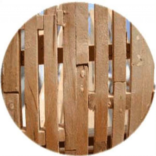 [MODEL EXPO MT1201  ] MODEL EXPO MT1201     Set de clous en bois 