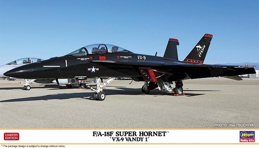 [HASEGAWA 2447  ] HASEGAWA 2447  1/72 FA-18F Super Hornet VX9 Vandy 1 