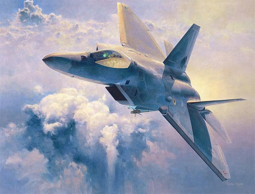 [HASEGAWA PT45  ] HASEGAWA PT45  1/48 F22 Raptor 