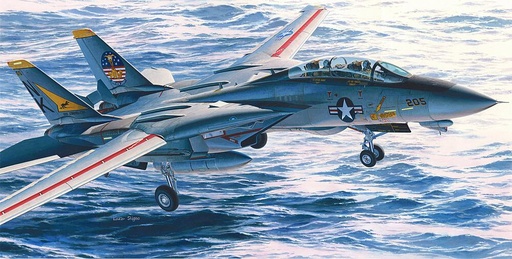 [HASEGAWA PT46  ] HASEGAWA PT46  1/48 F14A Tomcat 