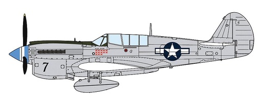 [HASEGAWA 7516  ] HASEGAWA 7516  1/48 P-40N Warhawk Natural Metal Aces (Aces en métal naturel) 