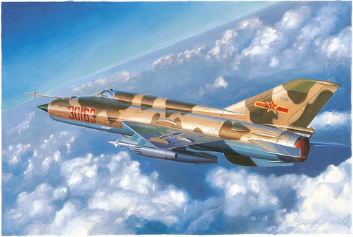 [TRUMPETER 2864  ] TRUMPETER 2864  1/48 J-7c / J7D 