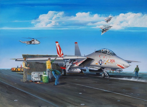 [TRUMPETER 3201  ] TRUMPETER 3201  1/32 F14A Tomcat 