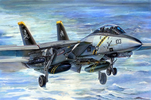 [TRUMPETER 3202  ] TRUMPETER 3202  1/32 F14B Tomcat 