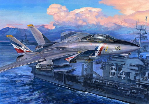 [TRUMPETER 3203  ] TRUMPETER 3203  1/32 F14D Super Tomcat 