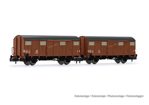 [ARNOLD HN6568  ] ARNOLD HN6568   N  DB, 2 wagons de marchandises couverts à 2 essieux Gmhs 55 