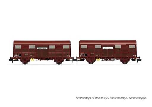 [ARNOLD HN6572  ] ARNOLD HN6572   N  SNCF, coffret de 2 wagons de marchandises couverts à 2 essieux G4 Permaplex 