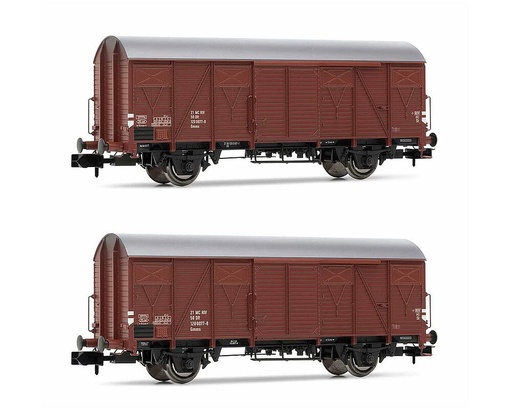 [ARNOLD HN6521  ] ARNOLD HN6521  1/160   DR, Coffret de 2 wagons marchandises couverts avec parois en planches Gs 