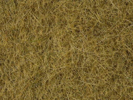 [Noch 07101] Noch 07101   Herbes Sauvages beige, 6 mm