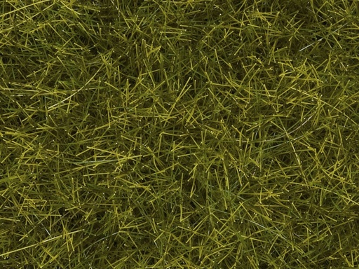 [Noch 07110] Noch 07110   Herbes sauvages XL PrÃ©, 12 mm