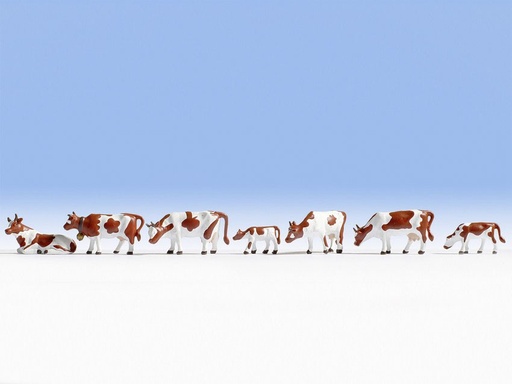 [Noch 36723] Noch 36723   Vaches, Blanches-Brunes