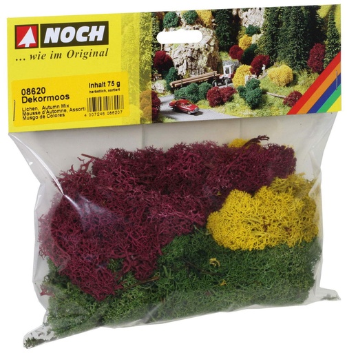 Mousses d'automne assorties - NOCH 08620