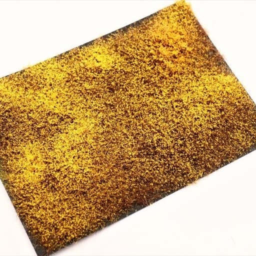 [RTS  95080] RTS 95080 Arbrisseau forsythia 148x210 mm
