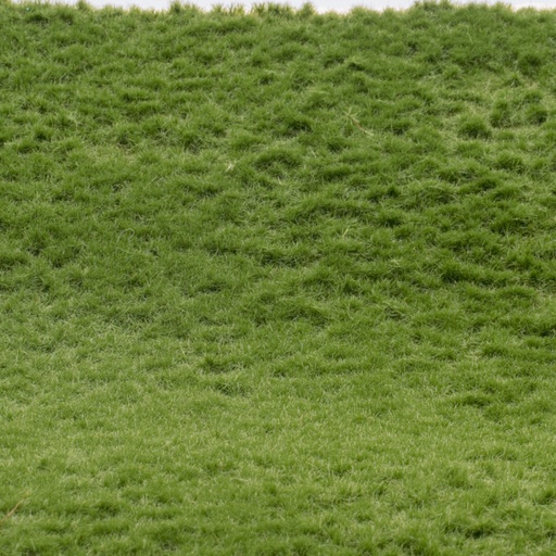 [RTS 92612-4  ] RTS 92612-4 Tapis d'herbe début d'été long A4 