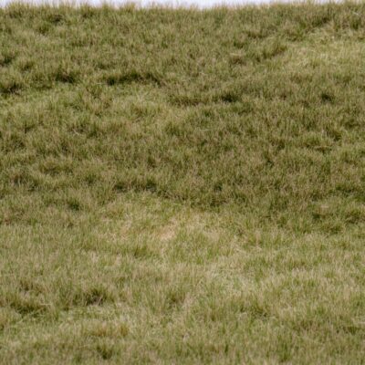 [RTS 92632-3  ] RTS 92632-3 Tapis d'herbe début d'automne long A3 