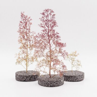 [RTS 10013  ] RTS 10013 Zeechium Mousse de mer Teloxis Aristata 